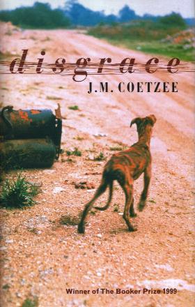 DISGRACE book cover
