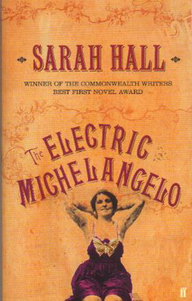 THE ELECTRIC MICHELANGELO book cover