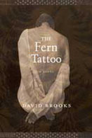 THE FERN TATTOO book cover