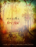 FIRE FIRE book cover